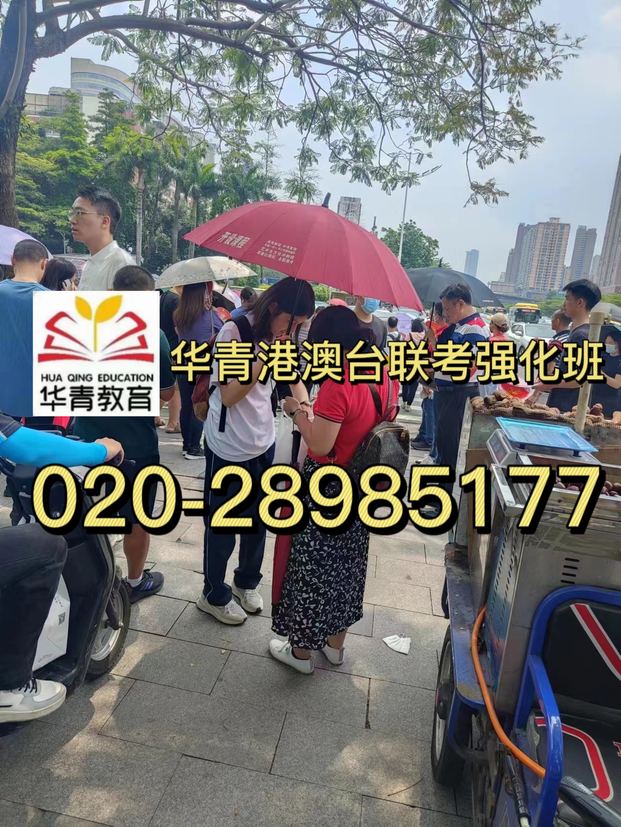 全国联考结束后，如何进行成绩查询和志愿填报？