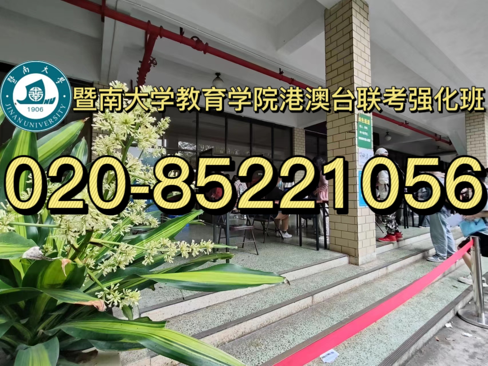 港澳台侨生速看！关于报考暨大联考强化班的问题解答！
